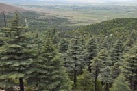 Kızıldağ Milli Parkı