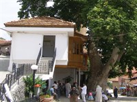 Barla